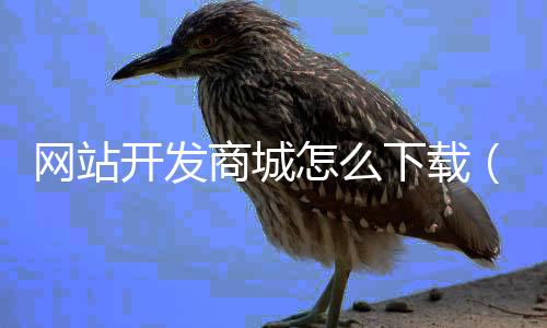 网站开发商城怎么下载（开发网站流程）