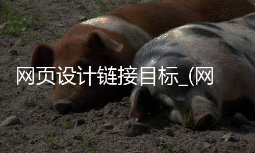 网页设计链接目标_(网页设计链接目标怎么写)