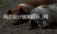 网页设计链接目标_(网页设计链接目标怎么写)