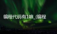 编程代码有1嘛_(编程代码有多少个)