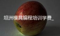 坦洲模具编程培训学费_(模具编程培训班学费需要多少钱)