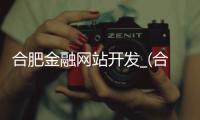 合肥金融网站开发_(合肥金融网站开发招聘)