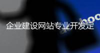 企业建设网站专业开发定制（企业建设网站专业开发定制怎么做）