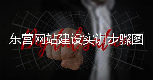 东营网站建设实训步骤图(东营wordpress网站建设)
