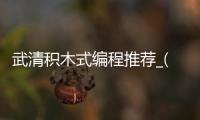 武清积木式编程推荐_(积木编程机器人课怎么样)