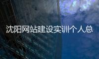 沈阳网站建设实训个人总结_(网站建设实训心得体会300字)