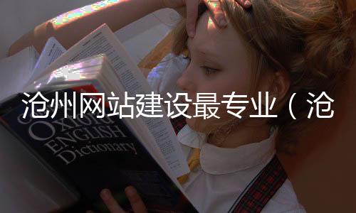 沧州网站建设最专业(沧州网站制作)
