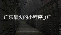 广东最火的小程序_(广州小程序解决方案)