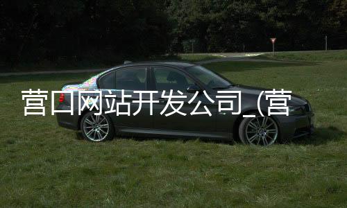 营口网站开发公司_(营口网站开发公司招聘)
